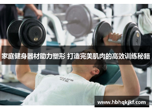家庭健身器材助力塑形 打造完美肌肉的高效训练秘籍